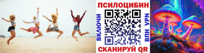 Галлюциногенные грибы Psilocybe  Нефтеюганск 