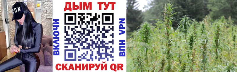 Канабис OG Kush Нефтеюганск